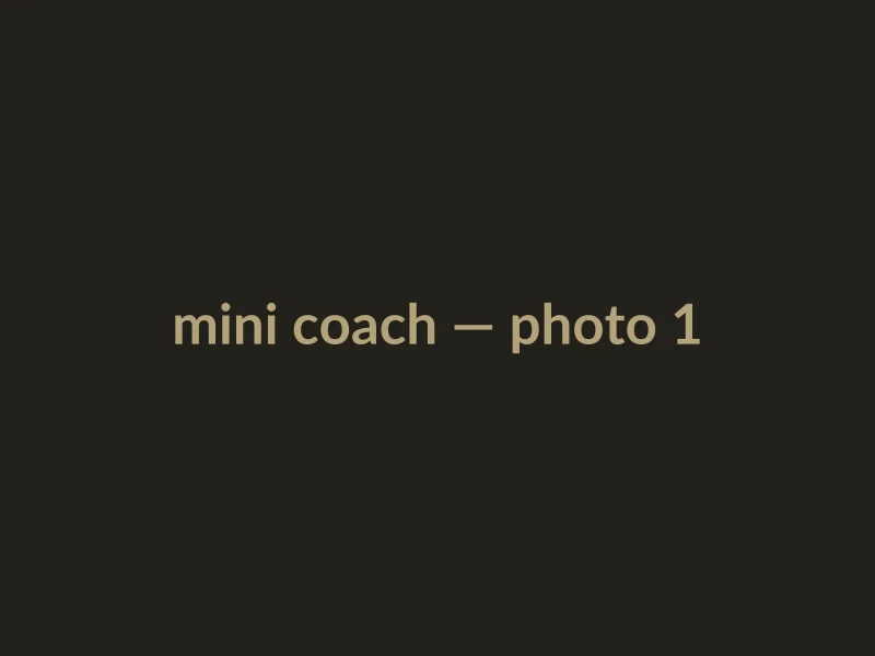 Mini coach, photo 1 of 3
