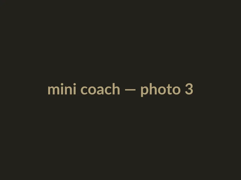 Mini coach, photo 3 of 3